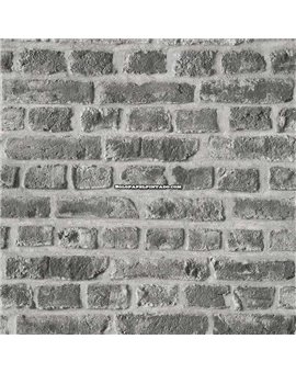 Papel Pintado FUNNY WALLS V Ref. 250-6057.