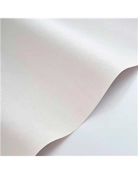 Papel Pintado CARACTERE Ref. CARA201170000.