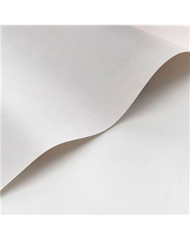 Papel Pintado SO COLOR 6 Ref. SOCO80831010.