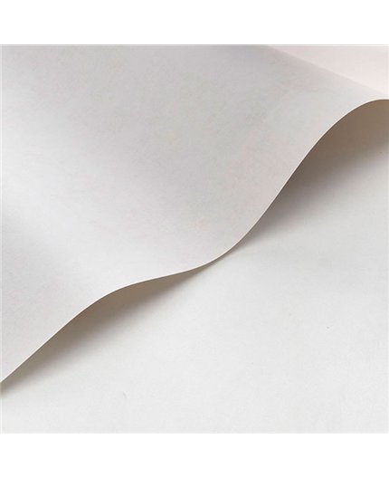 Papel Pintado SO COLOR 6 Ref. SOCO80831010.