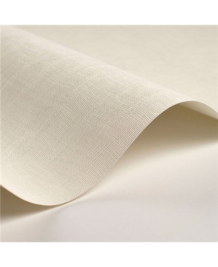 Papel Pintado SO COLOR 6 Ref. SOCO200250101.