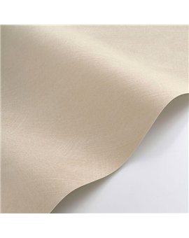 Papel Pintado SO COLOR 6 Ref. SOCO201001111.