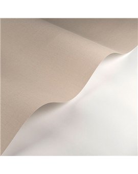 Papel Pintado SO COLOR 6 Ref. SOCO200560233.