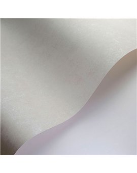 Papel Pintado SO COLOR 6 Ref. SOCO80839101.