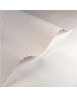 Papel Pintado SO COLOR 6 Ref. SOCO200566664.