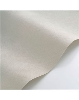 Papel Pintado SO COLOR 6 Ref. SOCO201009229.