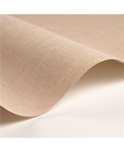 Papel Pintado SO COLOR 6 Ref. SOCO200252442.