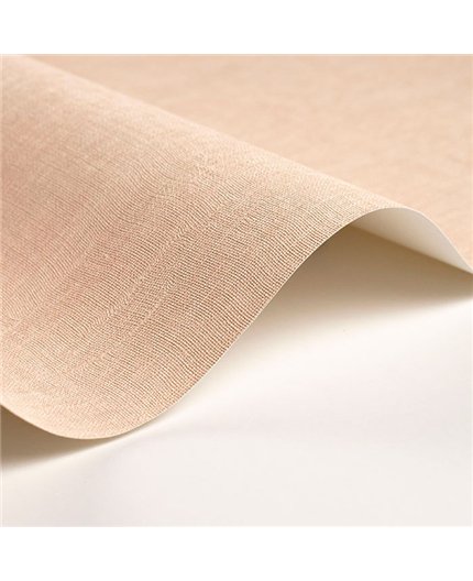 Papel Pintado SO COLOR 6 Ref. SOCO200254114.