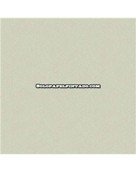 Papel Pintado SO COLOR 6 Ref. SOCO201287117.