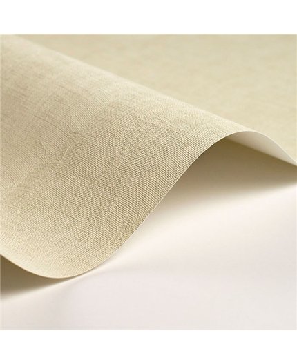 Papel Pintado SO COLOR 6 Ref. SOCO200257020.