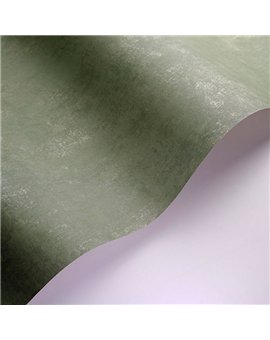 Papel Pintado SO COLOR 6 Ref. SOCO80837531.