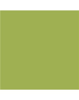 PLASTICO JUNOPROF MATE CALIDAD SUPERIOR (OFERTA) COLOR S 2050-G50Y