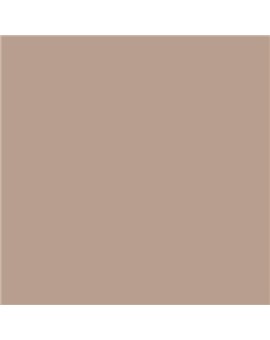 PLASTICO JUNOPROF MATE CALIDAD SUPERIOR (OFERTA) COLOR S 3010-Y60R