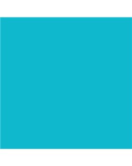 ESMALTE SINTETICO JUNOMALTE SATINADO (OFERTA) COLOR S 1050-B20G