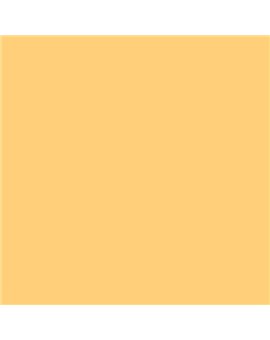 ESMALTE AL AGUA AQUALAC MATE (OFERTA) COLOR S 0540-Y20R