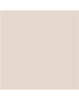 ESMALTE AL AGUA AQUALAC MATE (OFERTA) COLOR S 1005-Y70R