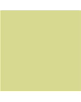 ESMALTE AL AGUA AQUALAC MATE (OFERTA) COLOR S 1030-G70Y