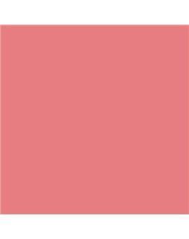 ESMALTE AL AGUA AQUALAC MATE (OFERTA) COLOR S 1050-R