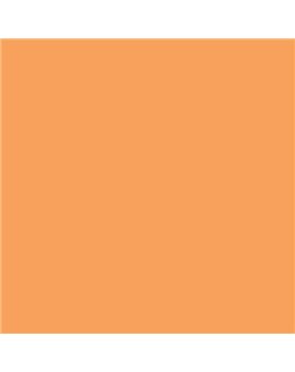 ESMALTE AL AGUA AQUALAC MATE (OFERTA) COLOR S 1050-Y40R