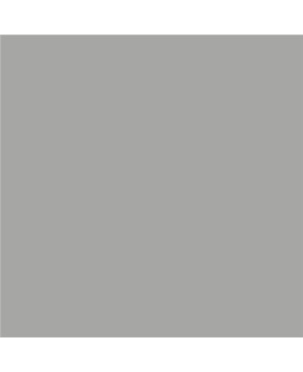 ESMALTE AL AGUA AQUALAC MATE (OFERTA) COLOR S 3500-N