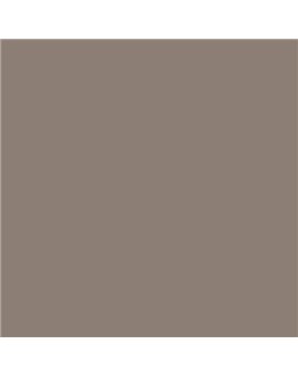 ESMALTE AL AGUA AQUALAC MATE (OFERTA) COLOR S 5005-Y50R