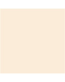 ESMALTE AL AGUA AQUALAC BRILLANTE (OFERTA) COLOR S 0505-Y40R