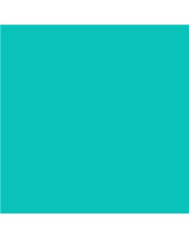 ESMALTE AL AGUA AQUALAC BRILLANTE (OFERTA) COLOR S 1050-B60G
