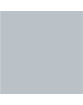 ESMALTE AL AGUA AQUALAC BRILLANTE (OFERTA) COLOR S 2005-R90B