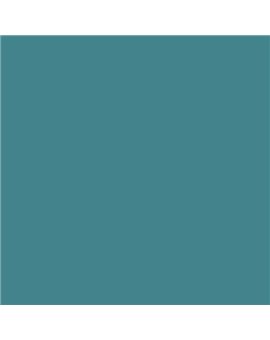 ESMALTE AL AGUA AQUALAC BRILLANTE (OFERTA) COLOR S 4030-B30G