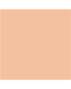ESMALTE AL AGUA AQUALAC SATINADO (OFERTA) COLOR S 1020-Y50R