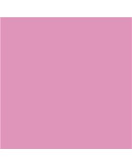 ESMALTE AL AGUA AQUALAC SATINADO (OFERTA) COLOR S 1040-R30B