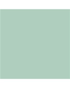ESMALTE AL AGUA AQUALAC SATINADO (OFERTA) COLOR S 1515-G