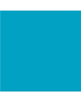 ESMALTE AL AGUA AQUALAC SATINADO (OFERTA) COLOR S 1555-B10G