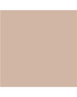 ESMALTE AL AGUA AQUALAC SATINADO (OFERTA) COLOR S 2010-Y60R