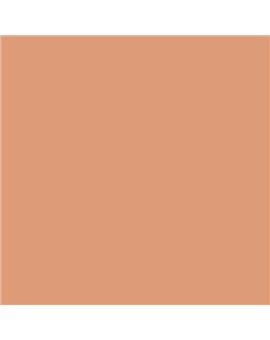 ESMALTE AL AGUA AQUALAC SATINADO (OFERTA) COLOR S 2030-Y50R