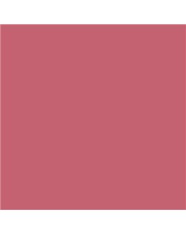 ESMALTE AL AGUA AQUALAC SATINADO (OFERTA) COLOR S 2050-R10B