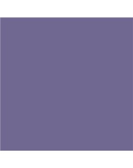 ESMALTE AL AGUA AQUALAC SATINADO (OFERTA) COLOR S 4030-R60B