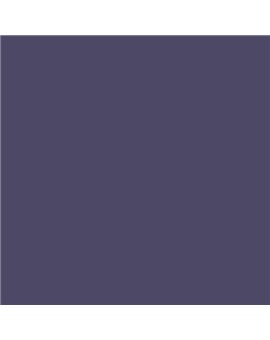 ESMALTE AL AGUA AQUALAC SATINADO (OFERTA) COLOR S 6020-R60B