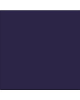 ESMALTE AL AGUA AQUALAC SATINADO (OFERTA) COLOR S 7020-R60B