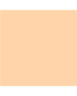 ESMALTE SINTETICO JUNOPLUS BRILLO (OFERTA) COLOR S 0520-Y40R