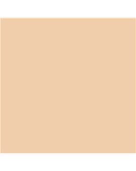 ESMALTE SINTETICO JUNOPLUS BRILLO (OFERTA) COLOR S 1015-Y40R