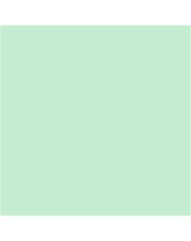 ESMALTE SINTETICO JUNOMALTE BRILLO (OFERTA) COLOR S 0520-G10Y