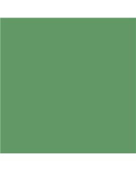 ESMALTE SINTETICO JUNOMALTE BRILLO (OFERTA) COLOR S 3040-G20Y