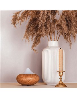 Papel Pintado OBSESSION CARDOSO Ref. BS2557.