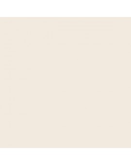 PLASTICO JUNOPROF MATE CALIDAD SUPERIOR (OFERTA) COLOR CL 003
