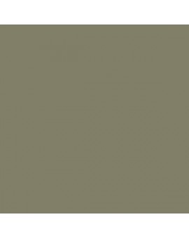 PLASTICO JUNOPROF MATE CALIDAD SUPERIOR (OFERTA) COLOR MD 229