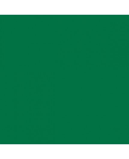 PLASTICO JUNOPROF MATE CALIDAD SUPERIOR (OFERTA) COLOR RAL 6029