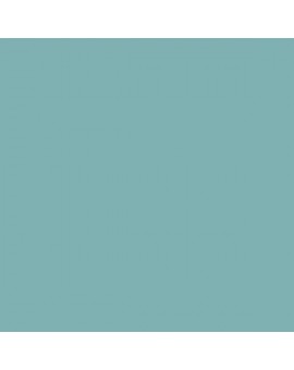 PLASTICO JUNOPROF MATE CALIDAD SUPERIOR (OFERTA) COLOR RAL 6034