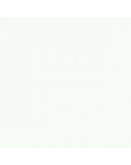 PLASTICO JUNOPROF MATE CALIDAD SUPERIOR (OFERTA) COLOR RAL 9016