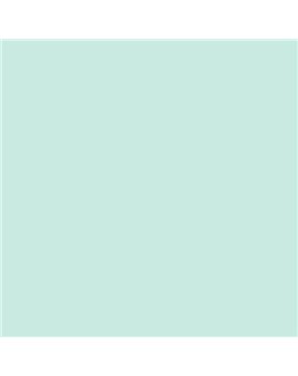 ESMALTE SINTETICO JUNOPLUS BRILLO (OFERTA) COLOR S 0515-B80G